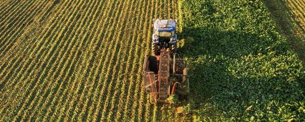 農(nóng)業(yè)的主要產(chǎn)業(yè)形式及其組成