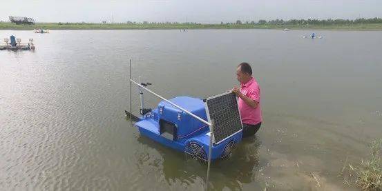 全自動智能投放飼料設(shè)備 開啟畜牧漁業(yè)養(yǎng)殖新篇章